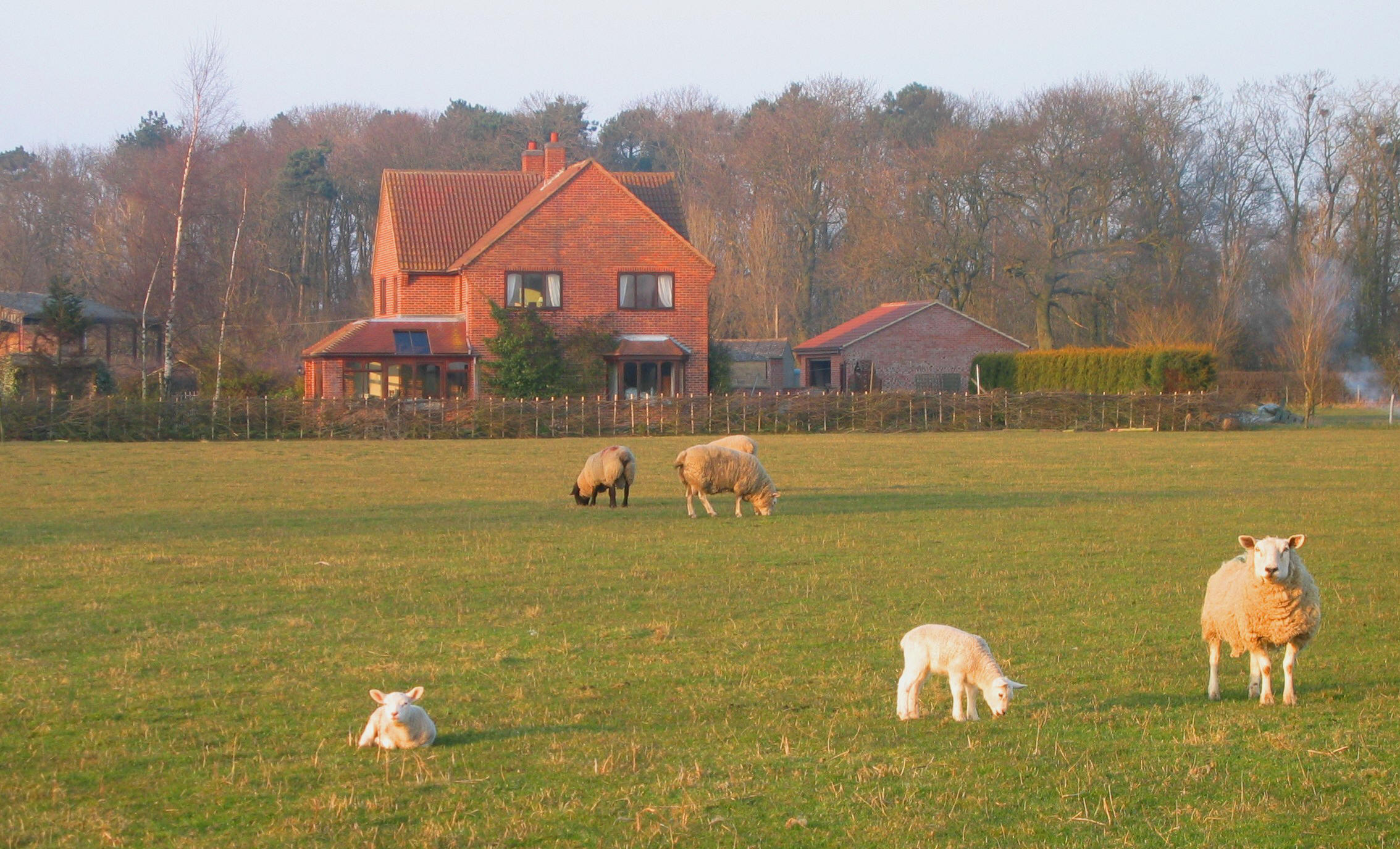 Jerico Farm